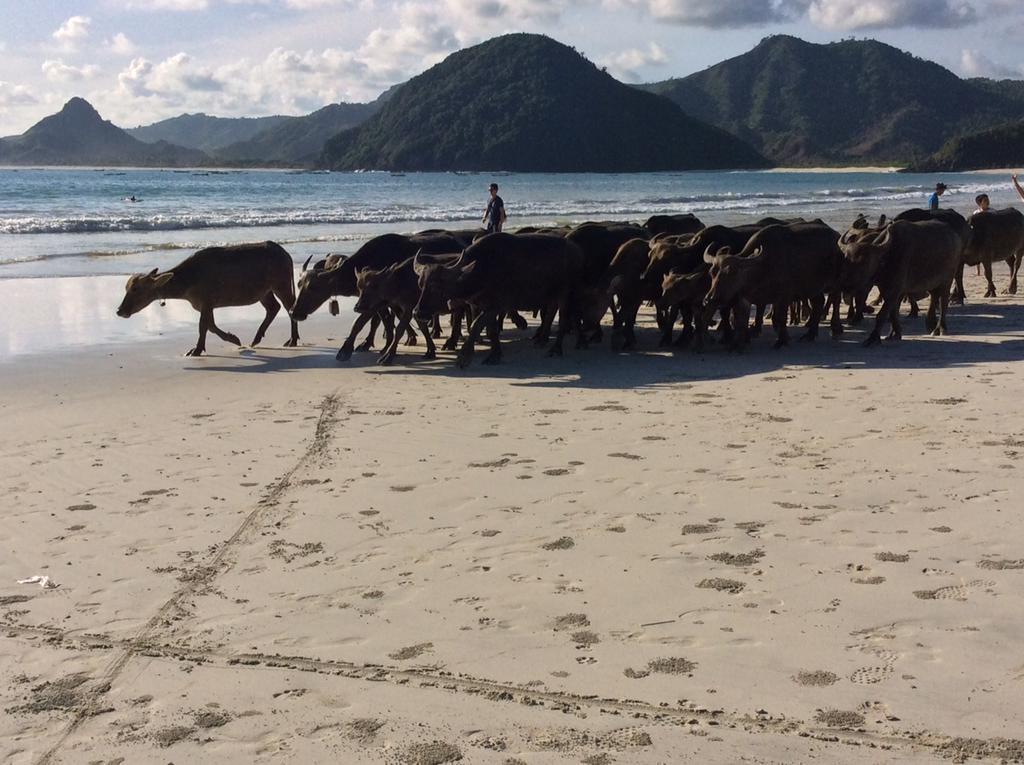 Kampoeng Senggigi Otel Mangsit Dış mekan fotoğraf